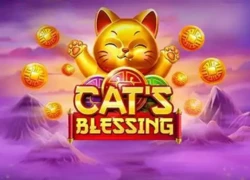 Cat's Blessing
